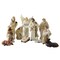 Northlight 11-Piece Glittered Ivory and Cream Christmas Nativity Figure Set